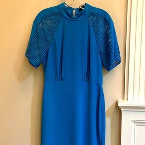 Blue BCBG Max Azria dress
